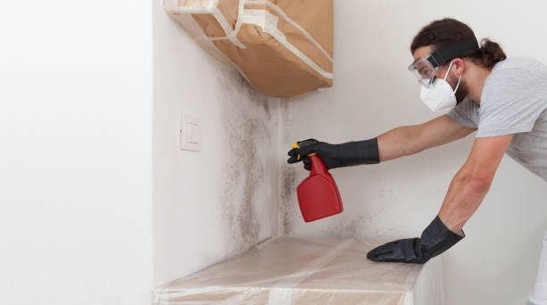 Professional Black Mold Remediation technician working in Freeport, FL